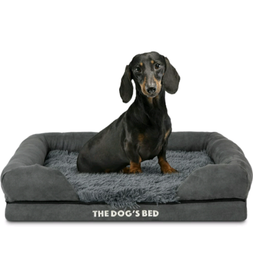 second hand dog beds